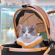 Cat Stroller