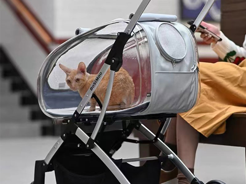 Cat Stroller